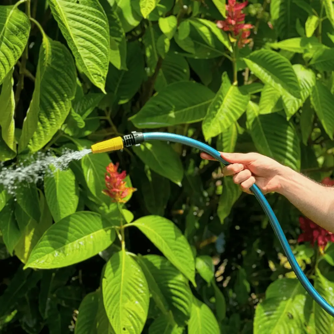 Pessoa regando plantas com a mangueira EcoPérola Mini